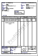 Exemplu factura pdf